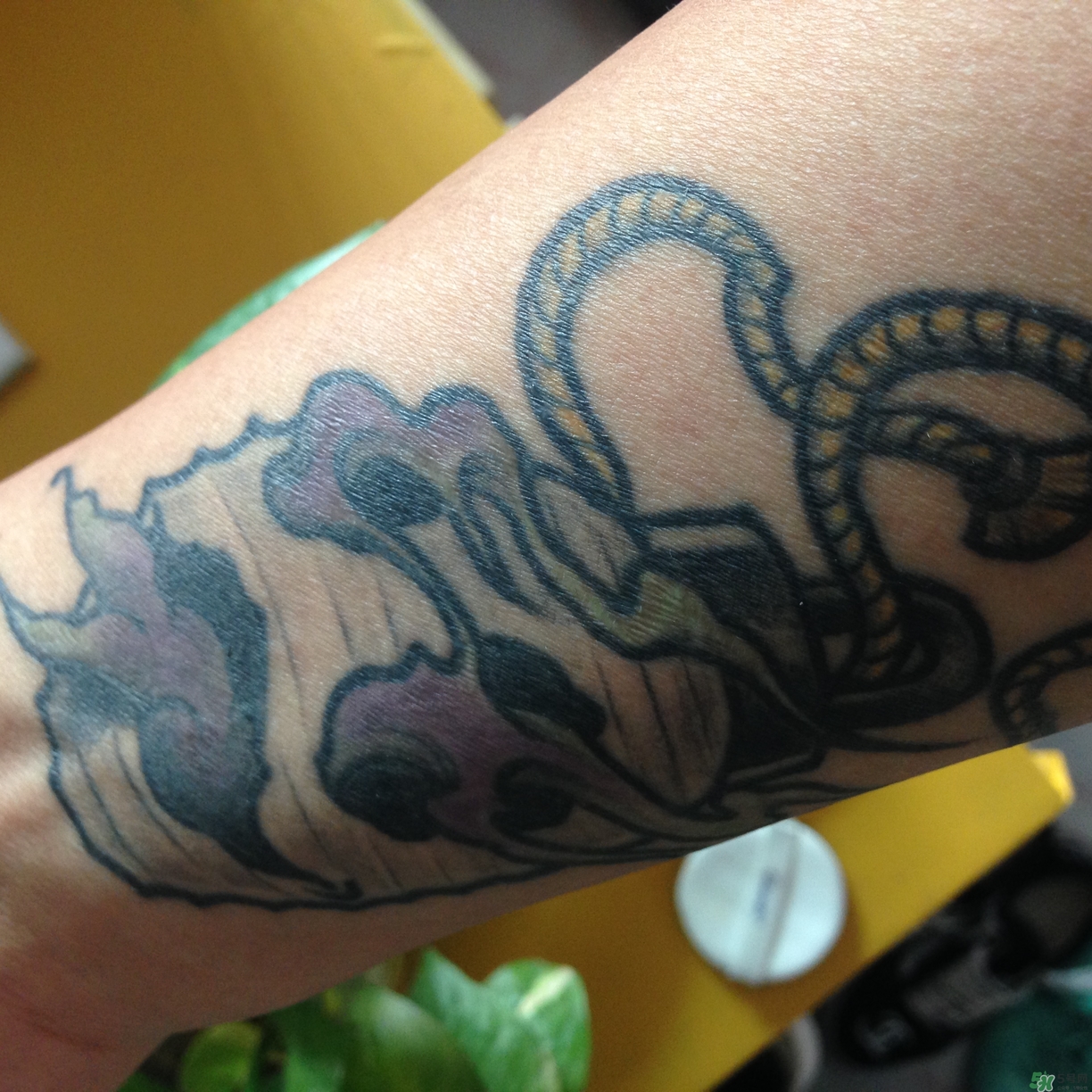 �Ѱ�������bb˪��ô��?�Ѱ�������bb˪������?